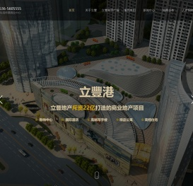 立豐港,立豐和平广场,智选假日酒店,立豐大厦,立豐尚寓,立豐公馆,潍坊全生活场景商业中心