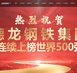 上海德龙钢铁集团有限公司