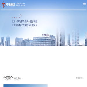 中衡保险公估股份有限公司