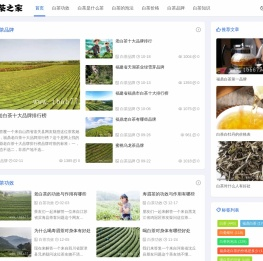 福鼎白茶