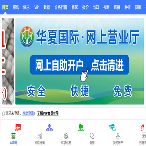 国际大蒜贸易网