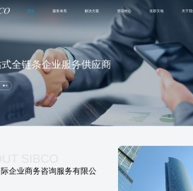 上海国际企业商务咨询服务有限公司