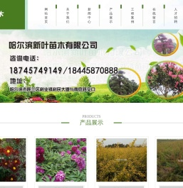 哈尔滨新叶苗木有限公司