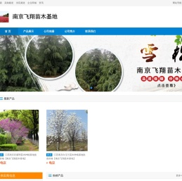 雪松,红叶石楠球/树,金丝垂柳