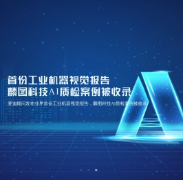 麟图科技