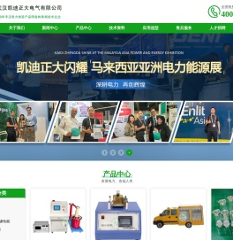 武汉凯迪正大