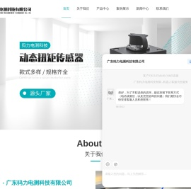 扭矩传感器