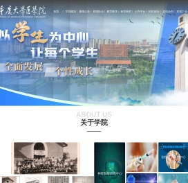 重庆大学医学院