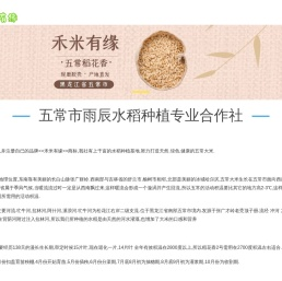 五常大米