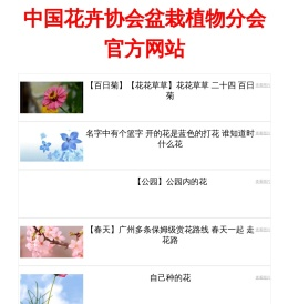 华夏汇率网