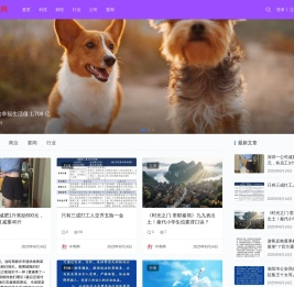 中青网