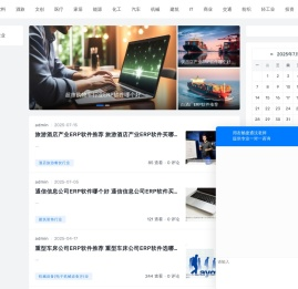 ERP软件选购