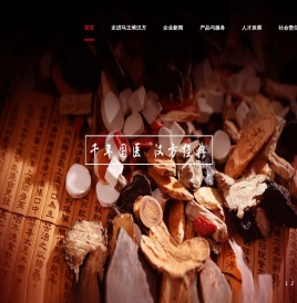 湖南马王堆制药有限公司