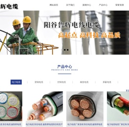 阳谷电缆公司,阳谷电缆厂,阳谷电缆,山东阳谷电缆,阳谷鲁辉电线电缆