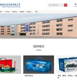 大连新维特+彩色印刷+彩色包装+食品包装