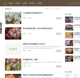 岁草网