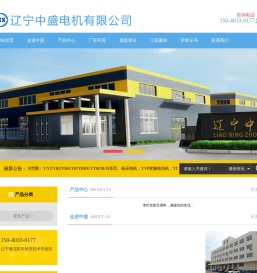 辽宁中盛电机有限公司