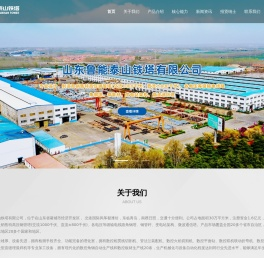 山东鲁能泰山铁塔有限公司