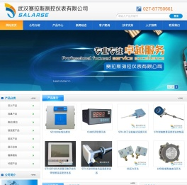 武汉赛拉斯测控仪表有限公司