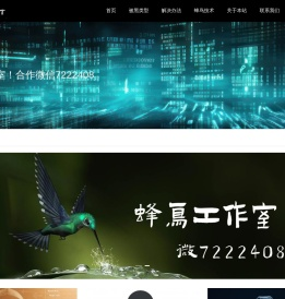蜂鸟出黑工作室
