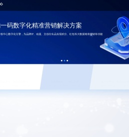 IP防伪授权管控系统
