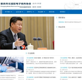 重庆市北碚区电子商务协会