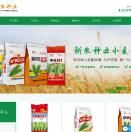 小麦种子