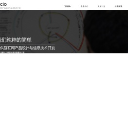 战略型与投资型互联网产品设计与技术开发