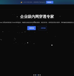 ZeroNews(零讯)｜企业级内网穿透专家