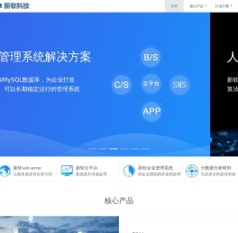 新软web