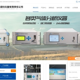 空分过程气体分析系统