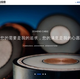 泽盛线缆有限公司