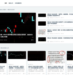 爱指标公式网