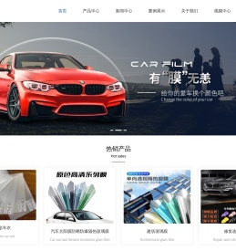 广州汽车膜厂家