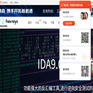 IDA中文网站