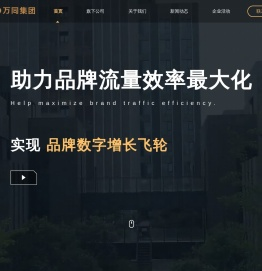 万同集团（VTO）