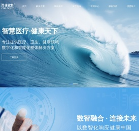 智业软件股份有限公司