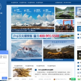 西藏那曲虫草网