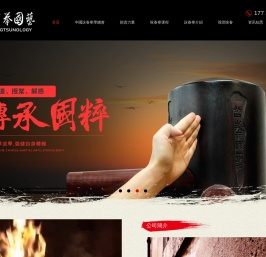 哲拳国艺深圳有限公司