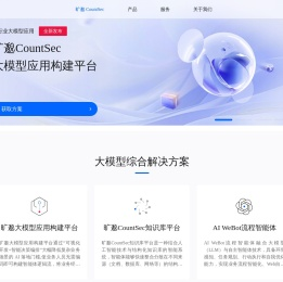 大模型应用解决方案服务商