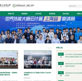 高等职业技术（国际）学院