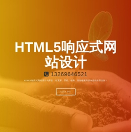 网站设计与开发