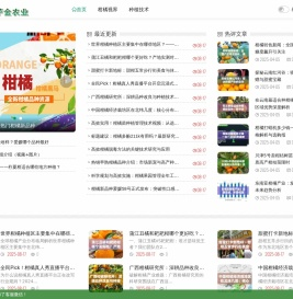 柑橘新品种