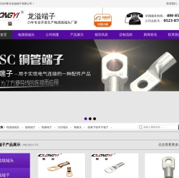 电缆线端头,电线接头,接线端子厂家,绝缘端子批发,铜接头供应商【龙溢端子】