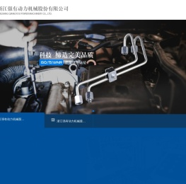 浙江强有动力机械股份有限公司