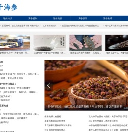 干海参网