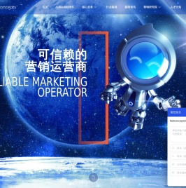 Netconcepts（耐特康赛）