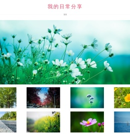 我的日常分享