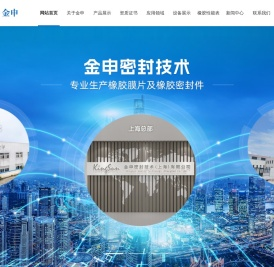 金申密封技术（上海）有限公司