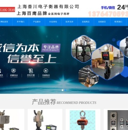 上海百鹰电子吊秤
